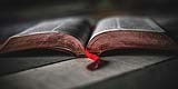  Grow a Daily Bible Reading Habit